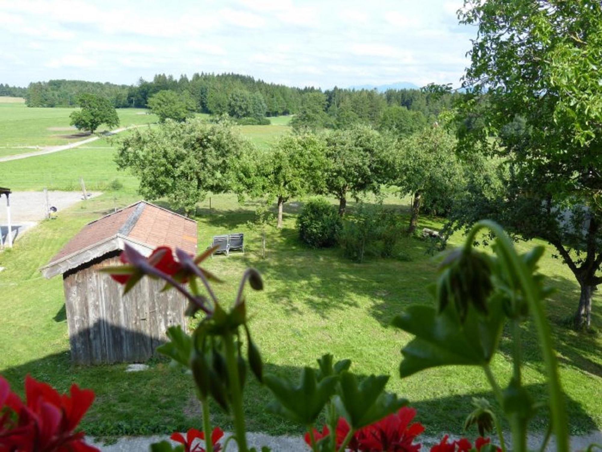 Apartmán Druckerhof Obersochering Exteriér fotografie